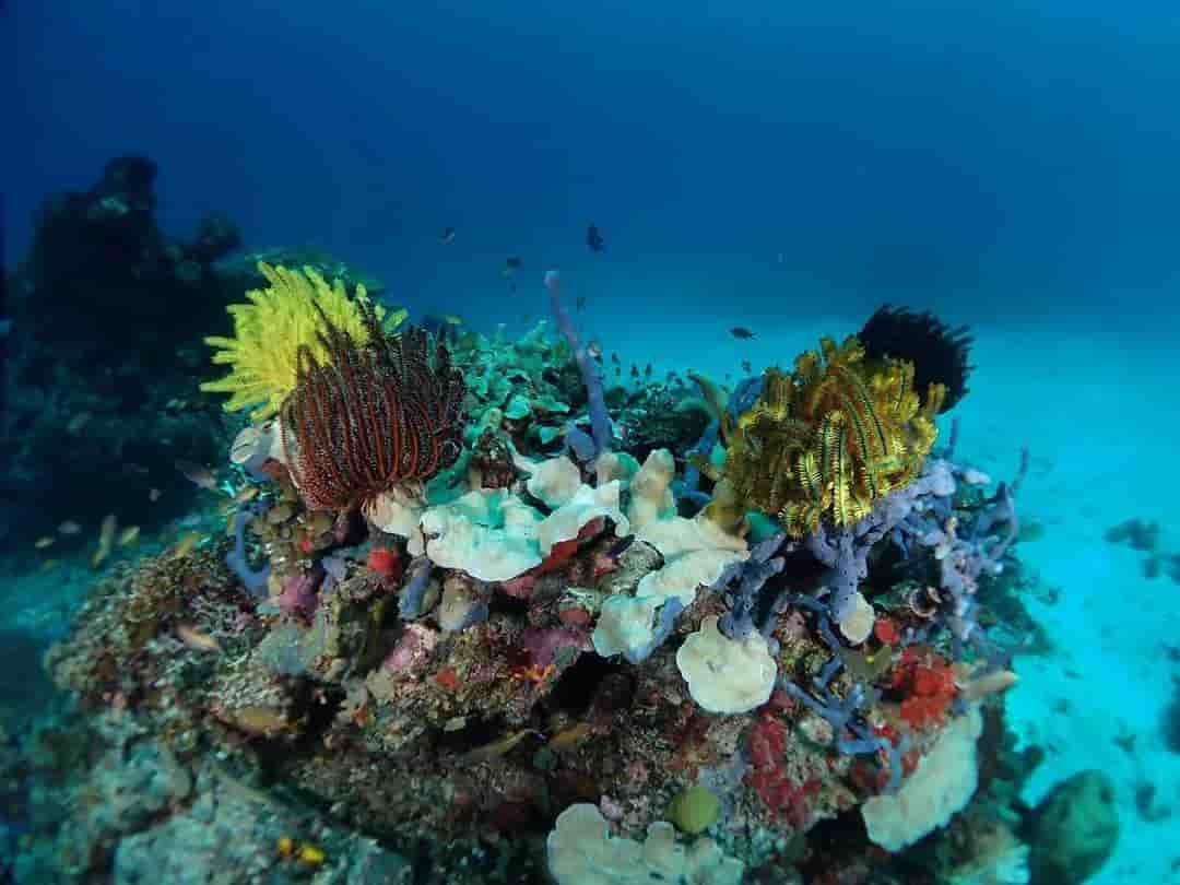 Thumbnail 16 Thumbnail 16