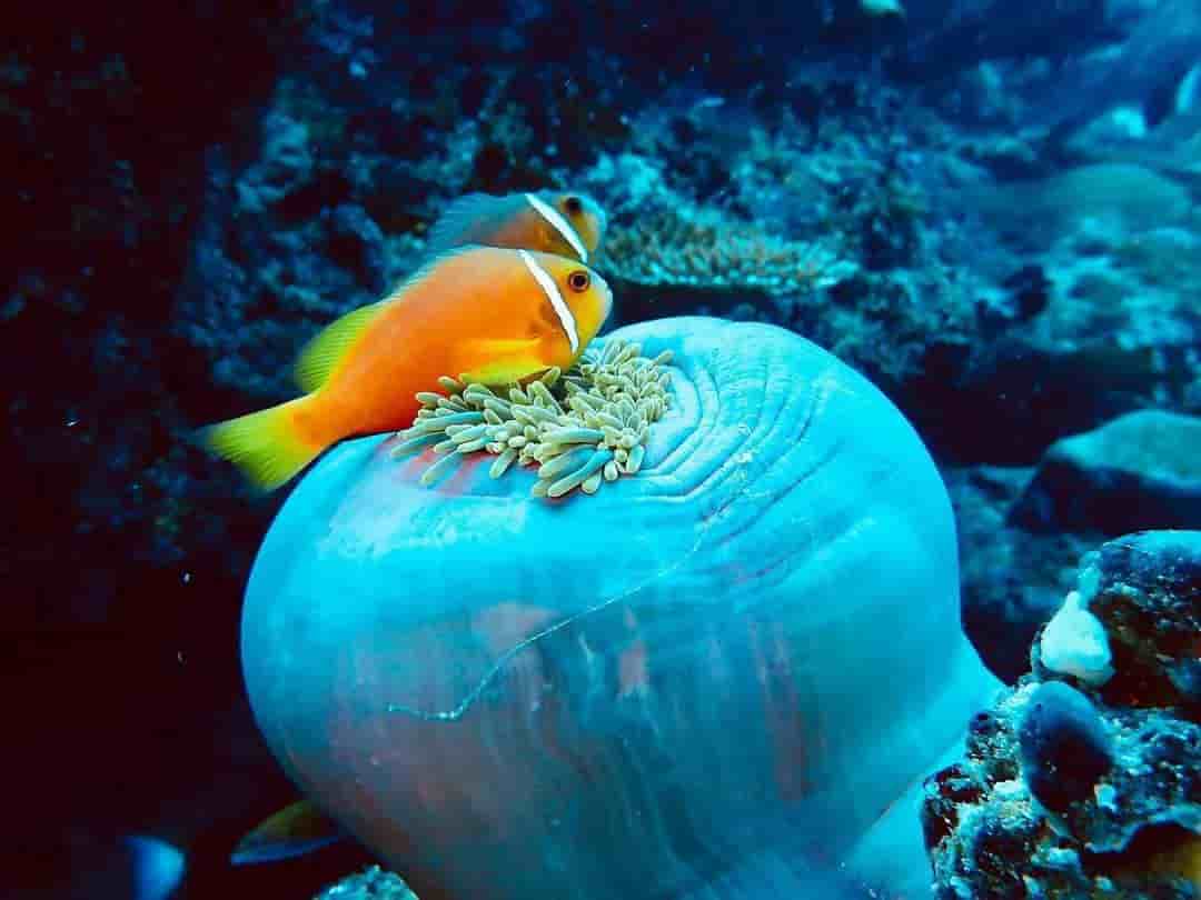 Thumbnail 17 Thumbnail 17