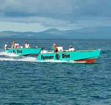 Thumbnail 7 Thumbnail 7