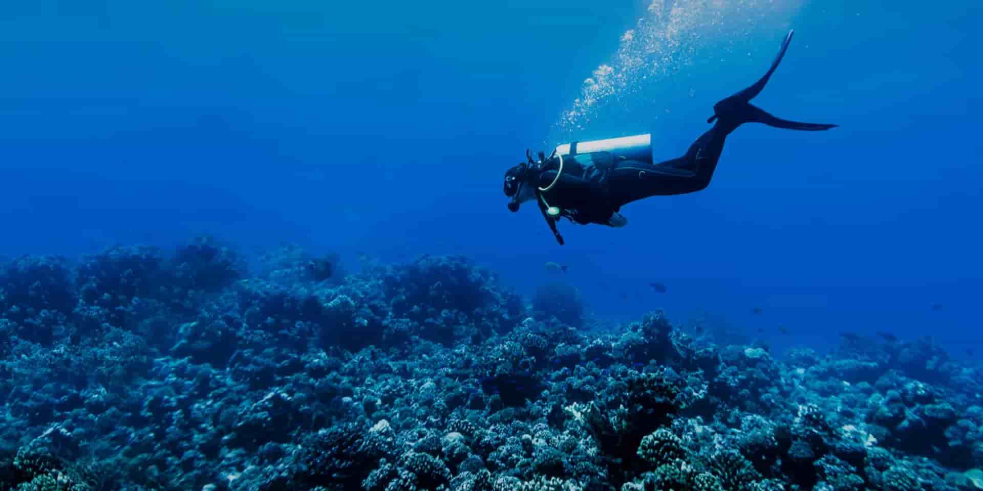 Thumbnail 8 Thumbnail 8