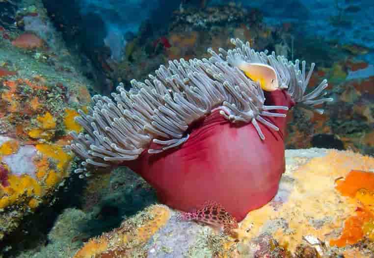 Thumbnail 9 Thumbnail 9