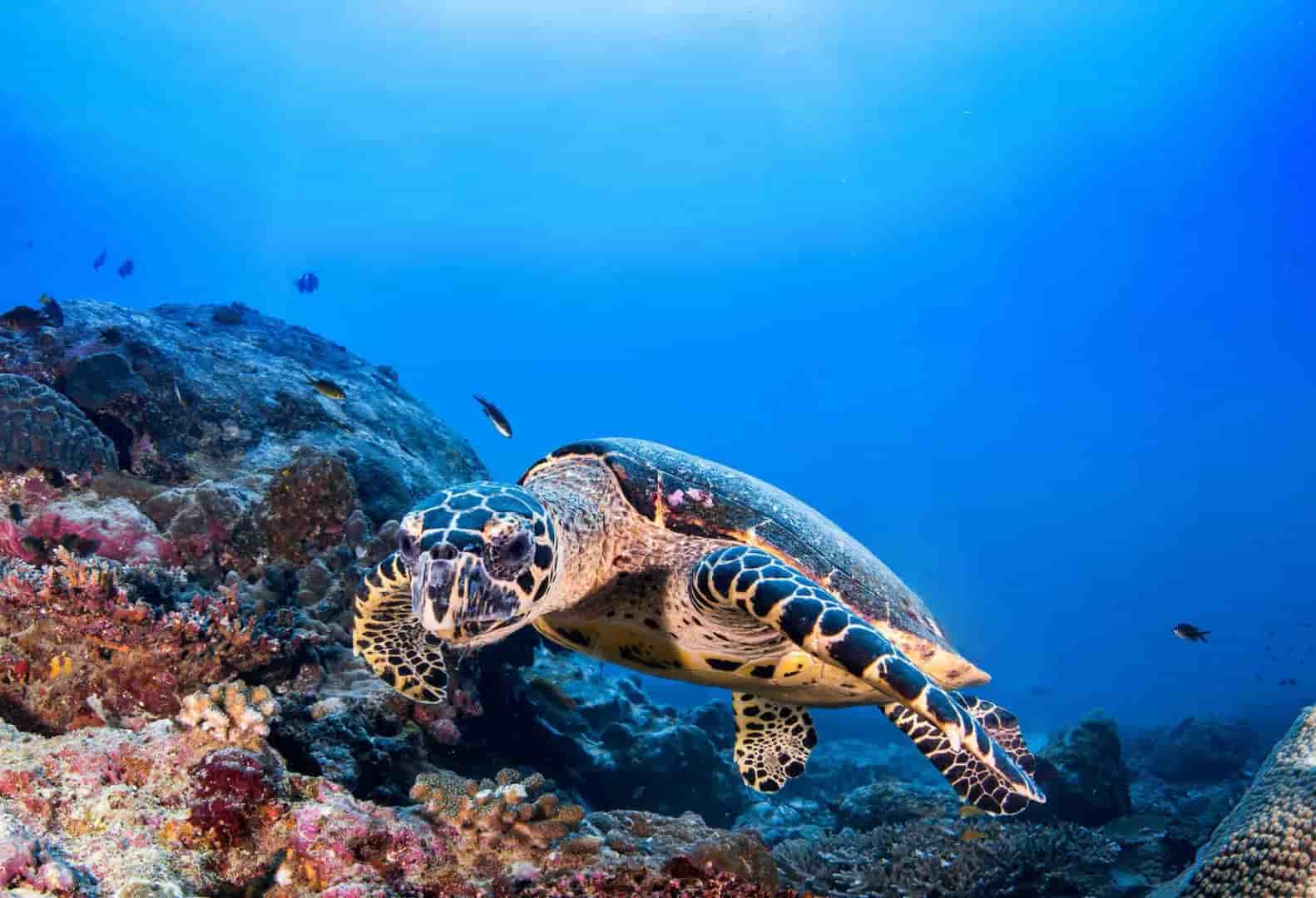 Thumbnail 10 Thumbnail 10