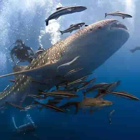 Thumbnail 11 Thumbnail 11