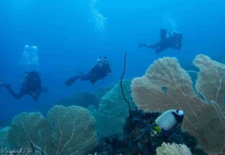 Thumbnail 12 Thumbnail 12