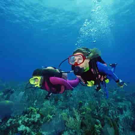 Thumbnail 13 Thumbnail 13