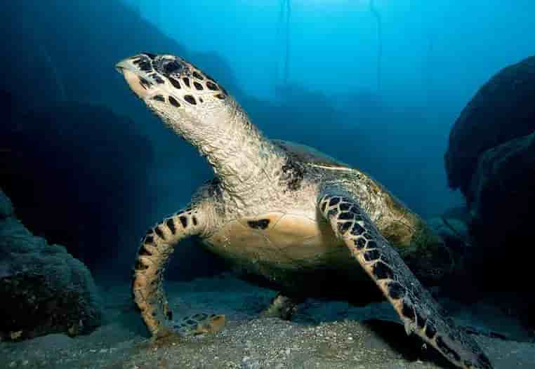 Thumbnail 14 Thumbnail 14