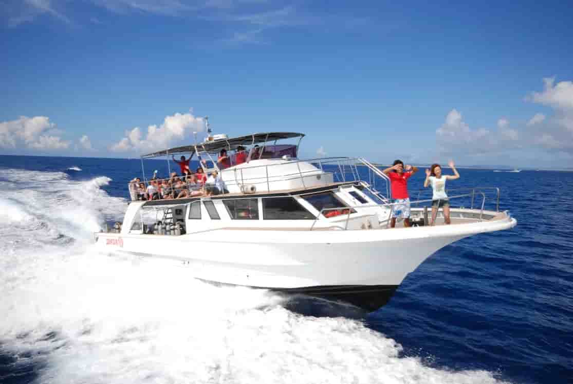 Thumbnail 1 Thumbnail 1