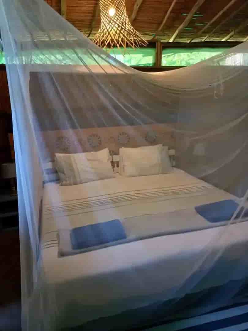 Thumbnail 7 Thumbnail 7