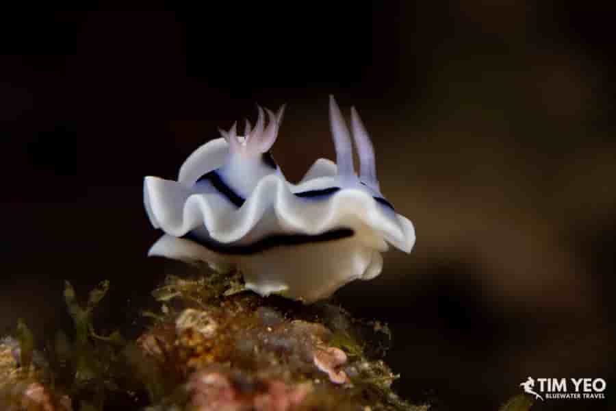 Thumbnail 3 Thumbnail 3