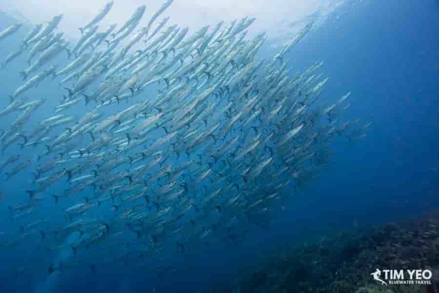 Thumbnail 5 Thumbnail 5