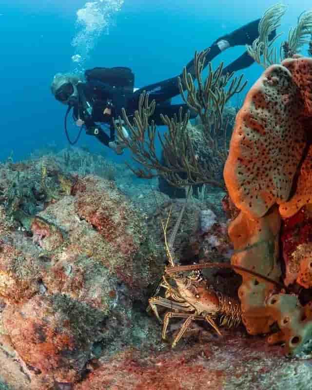 Thumbnail 3 Thumbnail 3