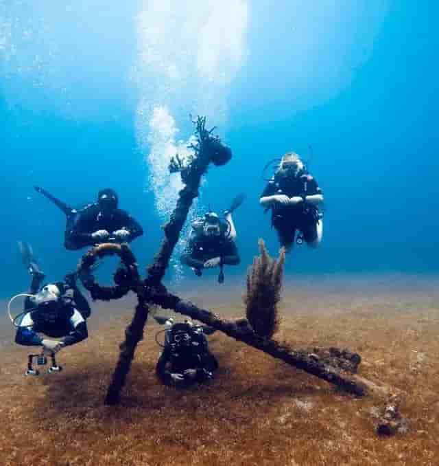 Thumbnail 4 Thumbnail 4