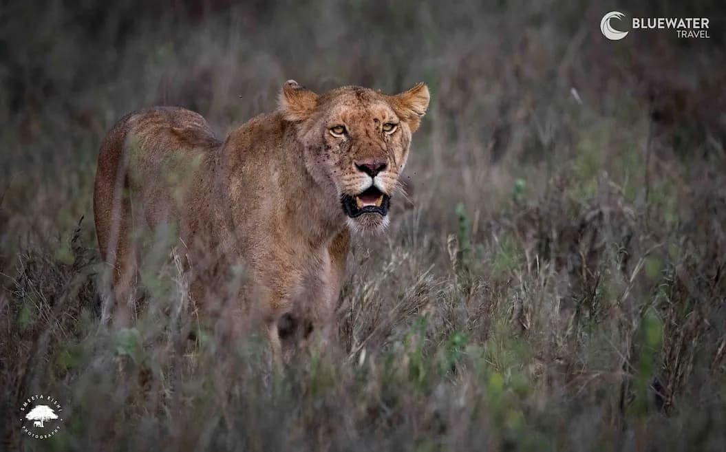 Tanzania Trip Extensions Tanzania Trip Extensions