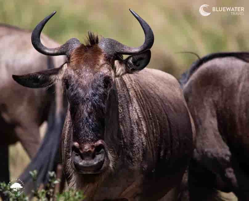 Thumbnail 3 Thumbnail 3