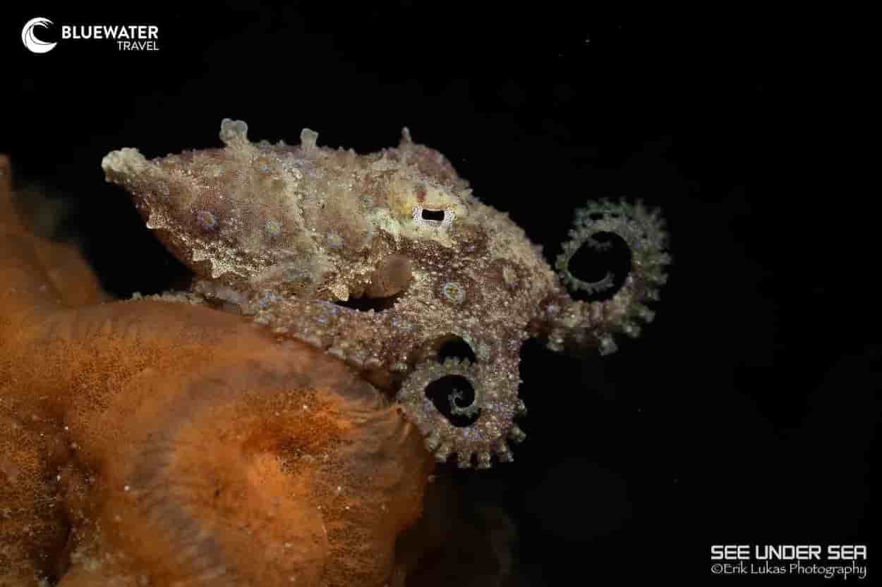 Thumbnail 1 Thumbnail 1