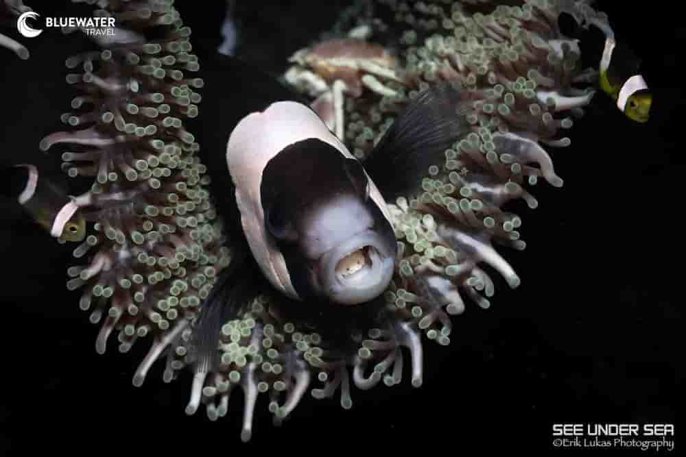 Thumbnail 2 Thumbnail 2