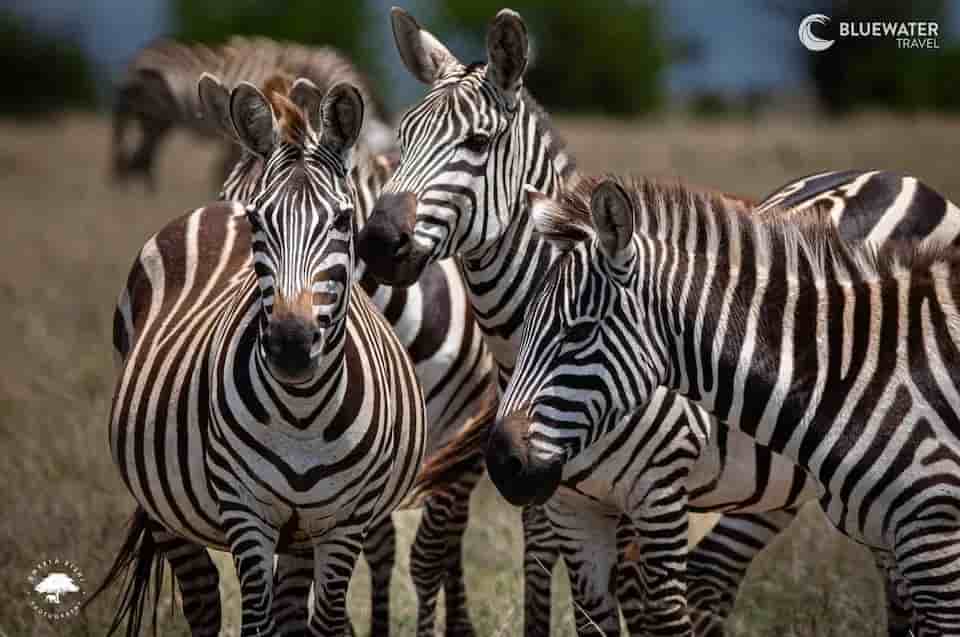 Thumbnail 4 Thumbnail 4