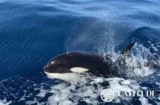 Thumbnail 4 Thumbnail 4