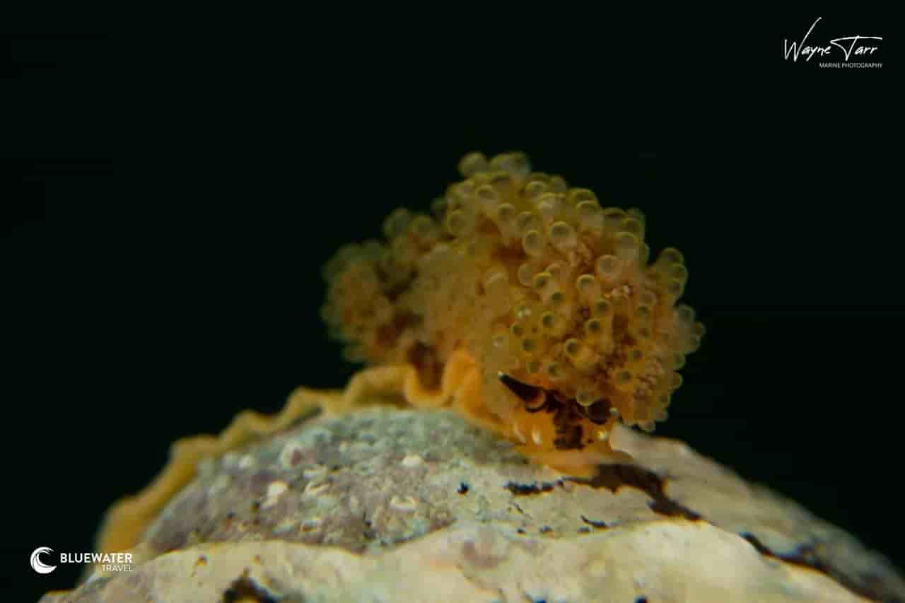 Thumbnail 3 Thumbnail 3