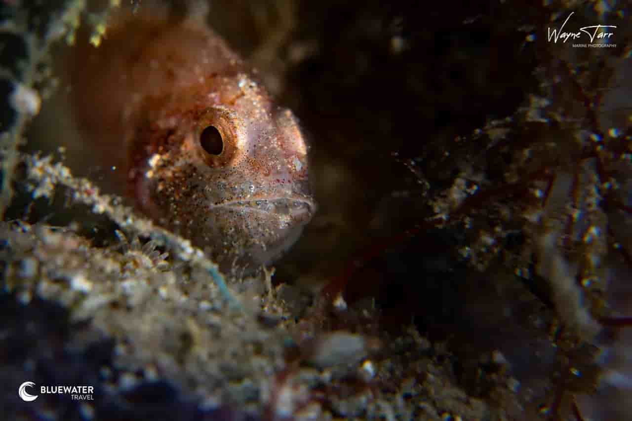 Thumbnail 2 Thumbnail 2