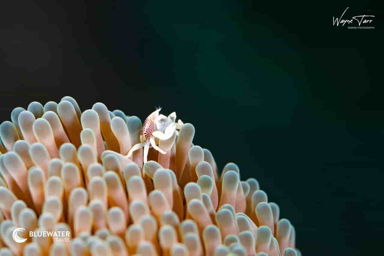 Thumbnail 5 Thumbnail 5