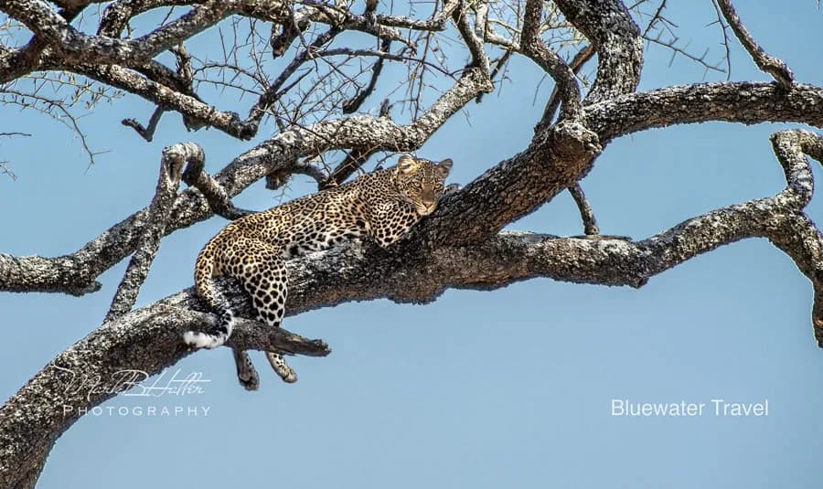 Zanzibar; Tanzania & Kenya Zanzibar; Tanzania & Kenya