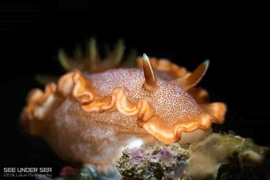 Thumbnail 1 Thumbnail 1