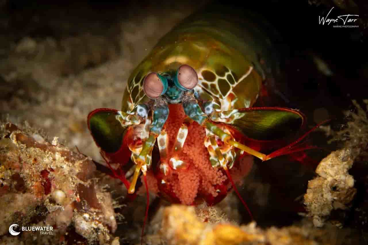 Thumbnail 2 Thumbnail 2