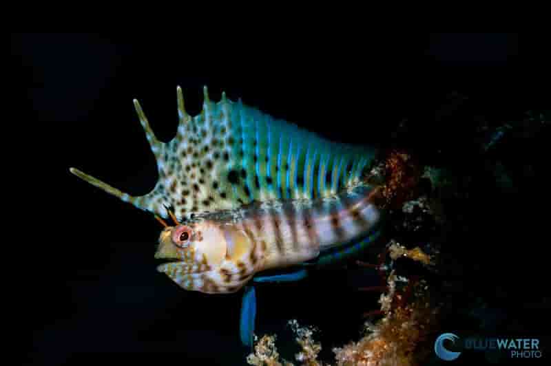 Thumbnail 1 Thumbnail 1