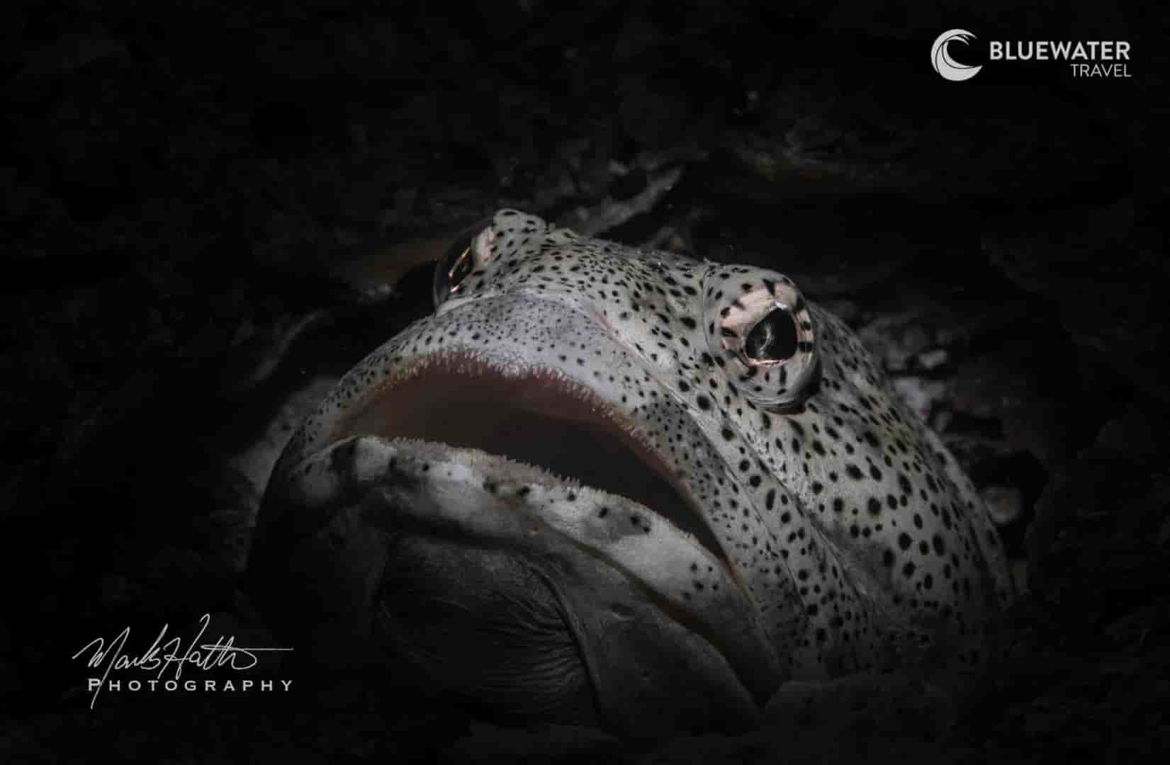 Thumbnail 3 Thumbnail 3