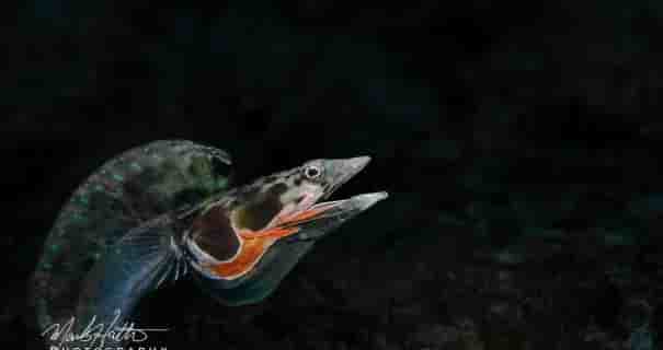 Thumbnail 4 Thumbnail 4