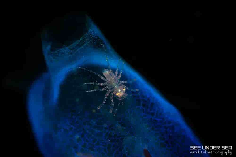 Thumbnail 2 Thumbnail 2