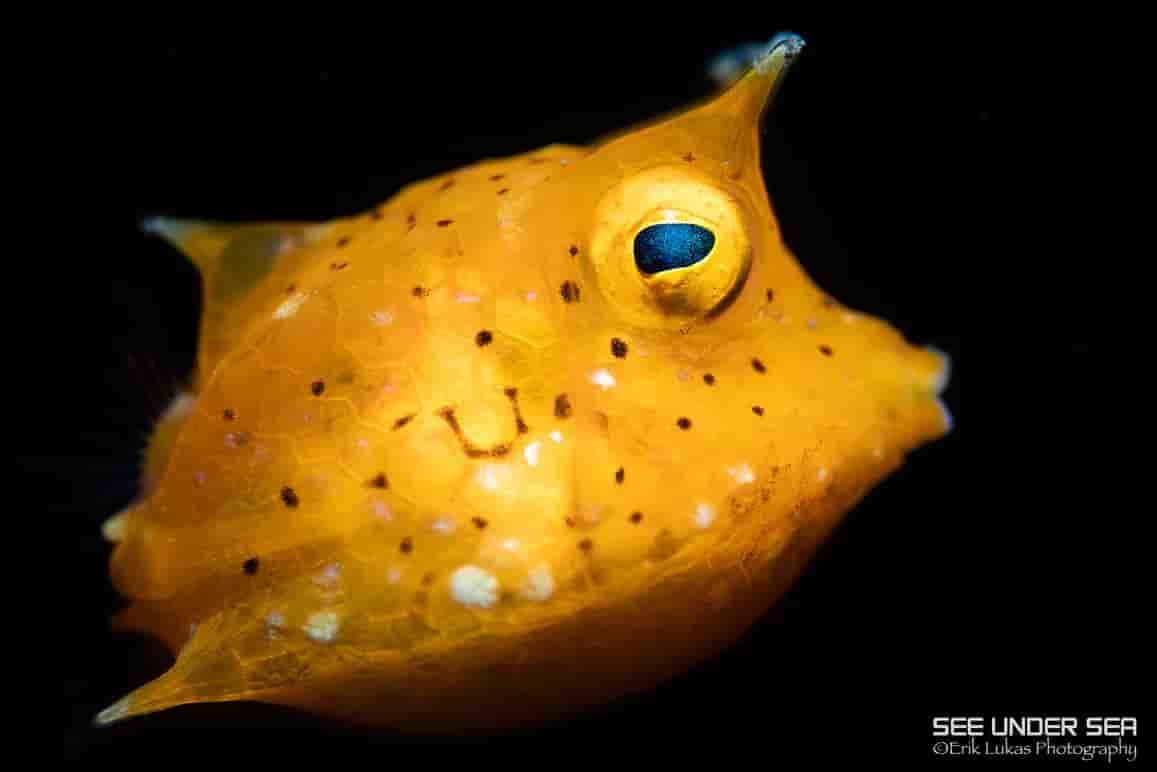 Thumbnail 3 Thumbnail 3