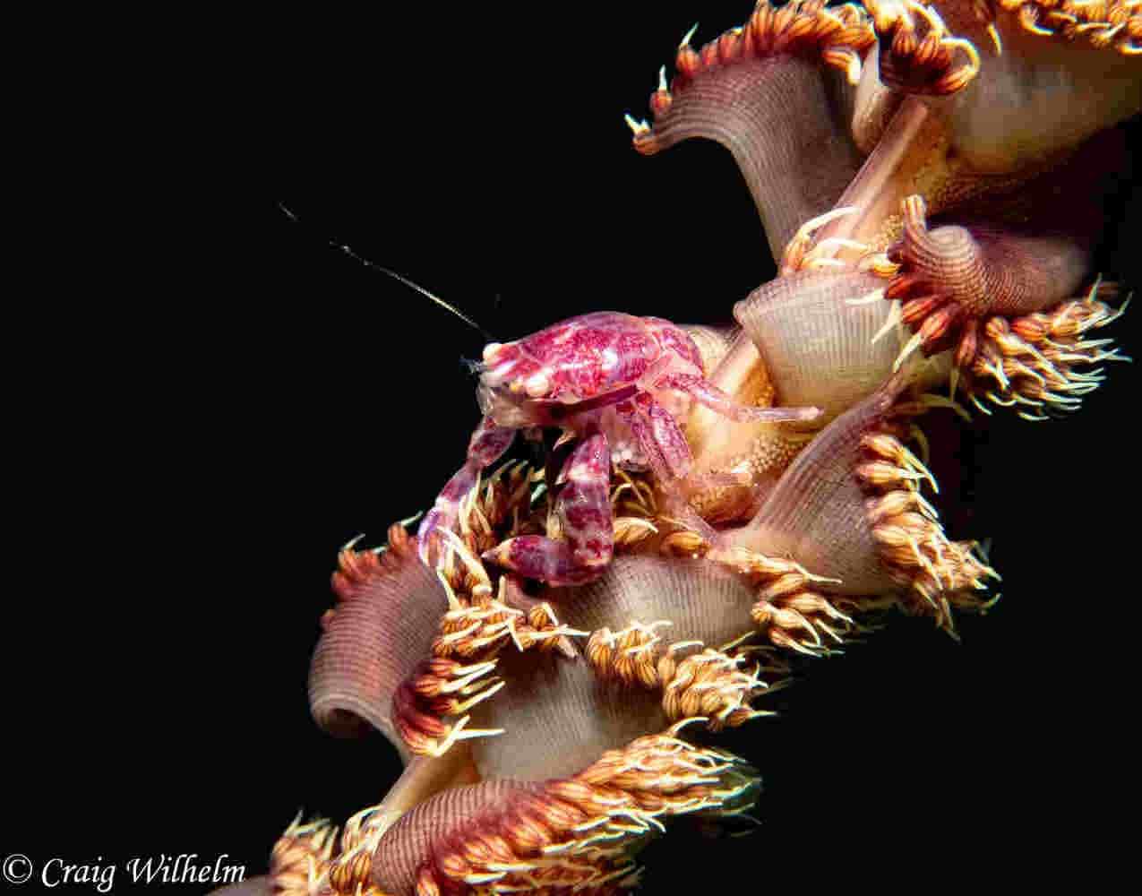 Thumbnail 8 Thumbnail 8