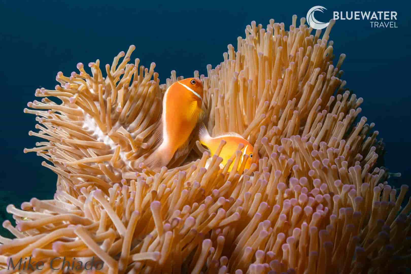 Thumbnail 2 Thumbnail 2