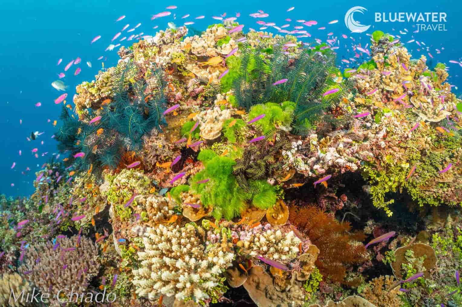 Thumbnail 3 Thumbnail 3