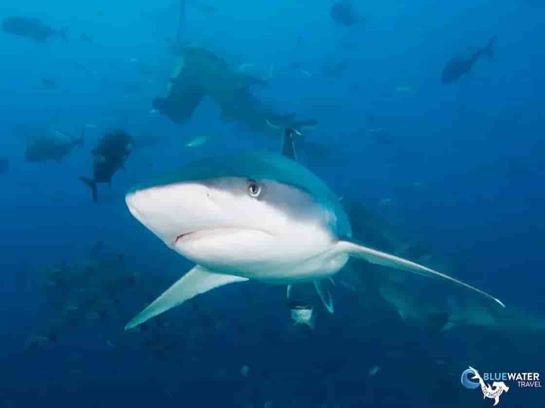 Thumbnail 4 Thumbnail 4