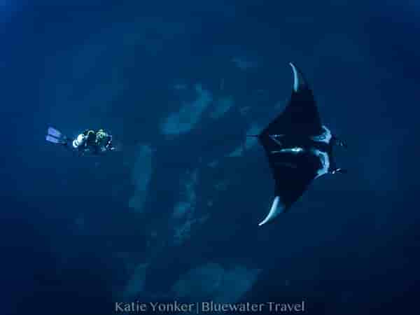 Thumbnail 3 Thumbnail 3