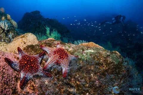 Sea of Cortez Trip Extensions Sea of Cortez Trip Extensions