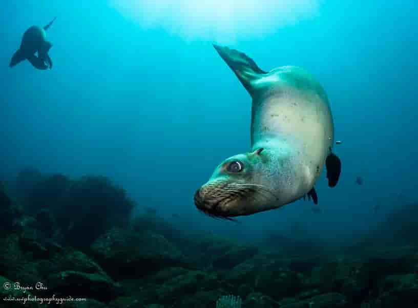 Thumbnail 4 Thumbnail 4