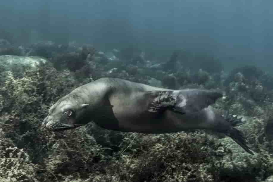 Thumbnail 2 Thumbnail 2