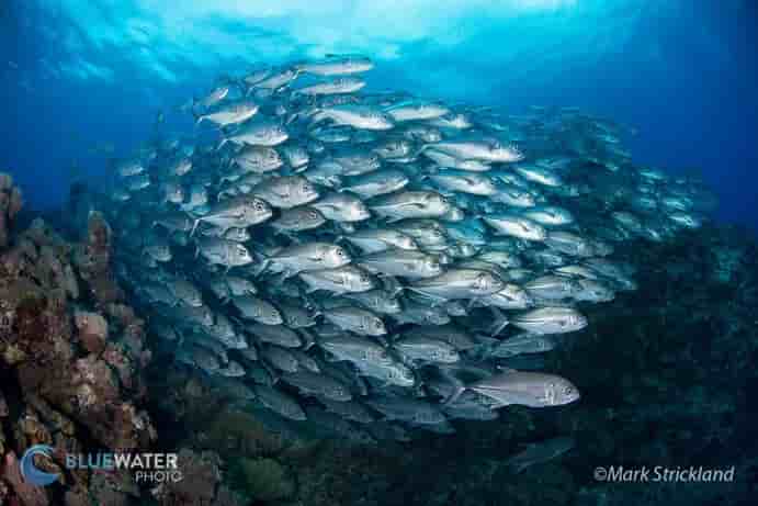 Thumbnail 3 Thumbnail 3