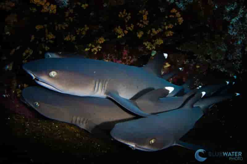 Thumbnail 5 Thumbnail 5