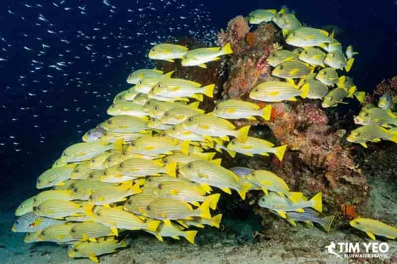 Thumbnail 2 Thumbnail 2