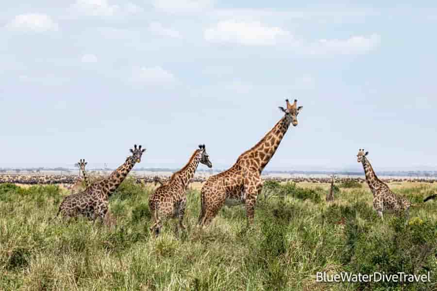 Thumbnail 7 Thumbnail 7