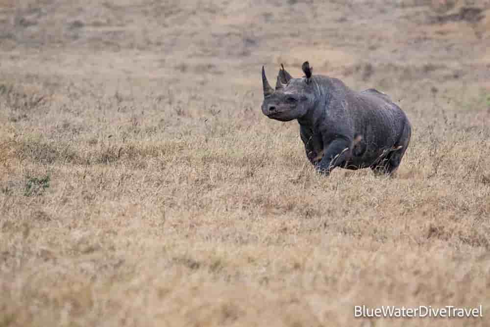 Thumbnail 8 Thumbnail 8