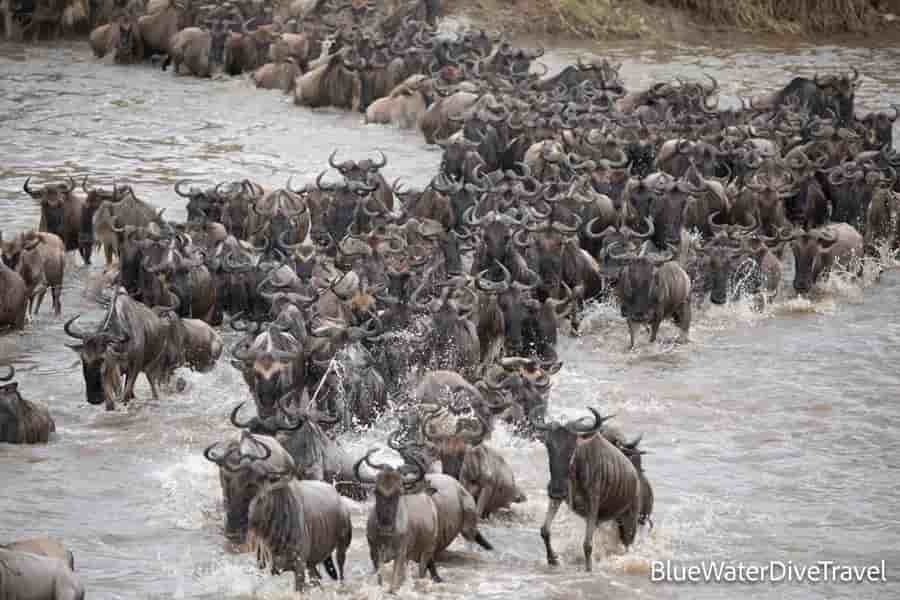 Thumbnail 2 Thumbnail 2