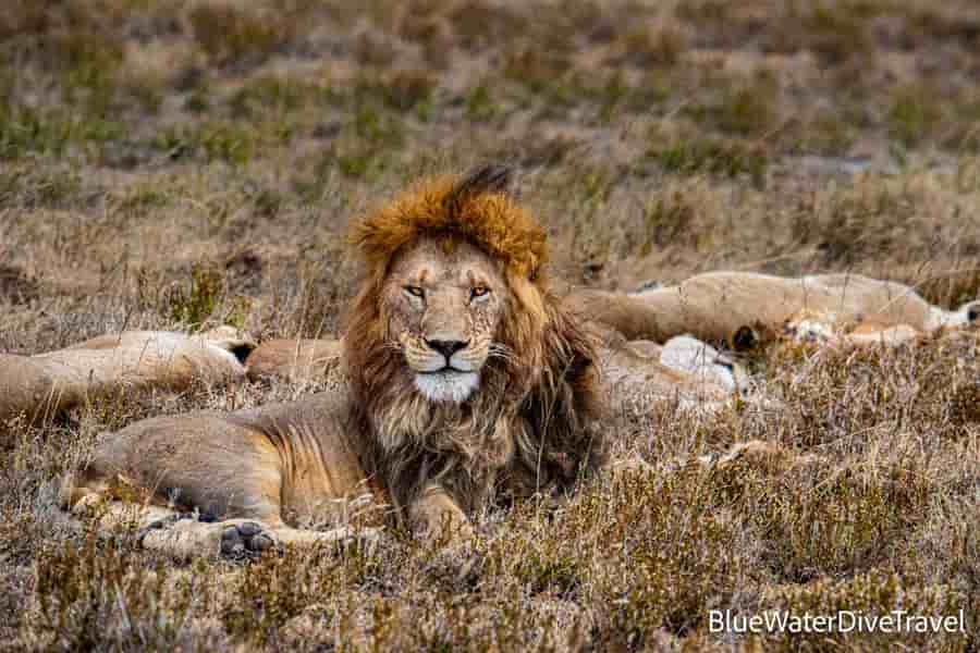 Thumbnail 4 Thumbnail 4