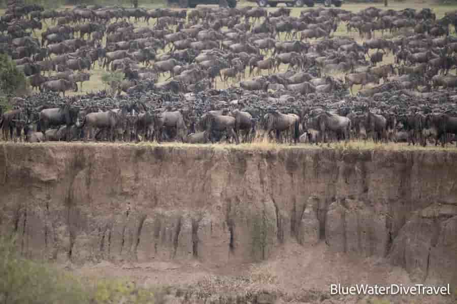 Thumbnail 5 Thumbnail 5