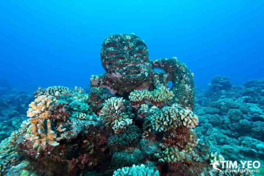 Thumbnail 4 Thumbnail 4